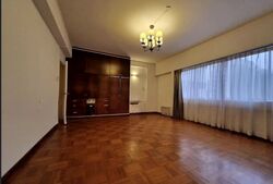 The Cairnhill (D9), Condominium #558345601